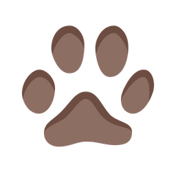 Cat Footprint  Icon