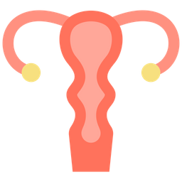 Gynecology  Icon