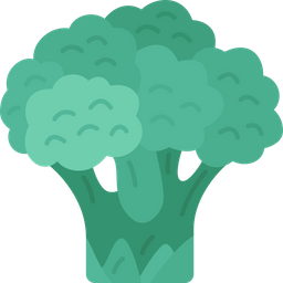 Broccoli  Icon