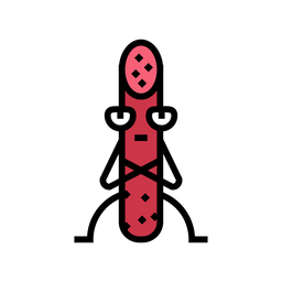 Salami  Icon