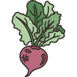 Beetroots  Icon