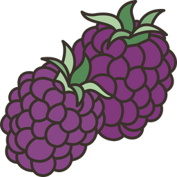 Blackberries  Icon