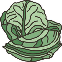 Cabbage  Icon