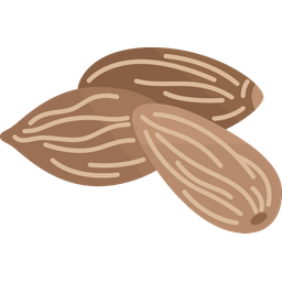 Almonds  Icon