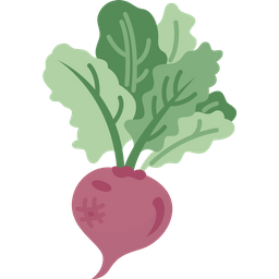 Beetroots  Icon