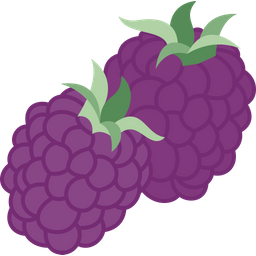 Blackberries  Icon