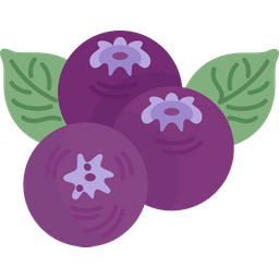 Blueberries  Icon