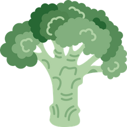 Broccoli  Icon