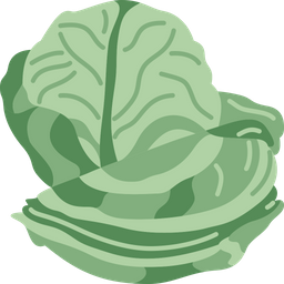 Cabbage  Icon