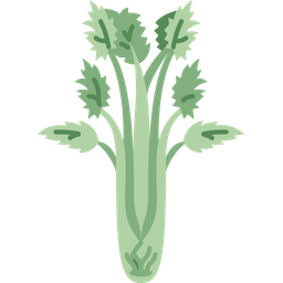 Celery  Icon