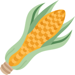 Corn  Icon