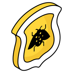 Bug Security  Icon