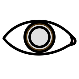 Cataracts  Icon