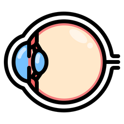 Eye  Icon