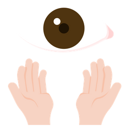 Ojo  Icono