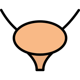 Bladder  Icon