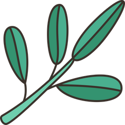 Olive Leaf  Icon