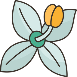 Flower  Icon