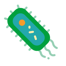 박테리아  아이콘