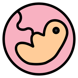 Embryo  Icon