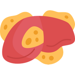 Liver Fat  Icon