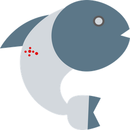 Koi Carp Fish  Icon