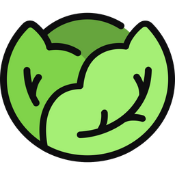 Cabbage  Icon