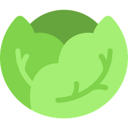 Cabbage  Icon