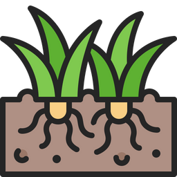 Grass  Icon