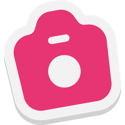 Camera  Icon