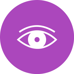 Eye  Icon