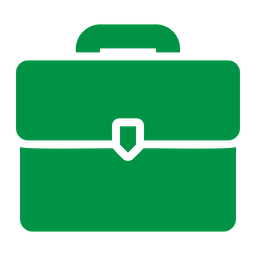 Briefcase  Icon