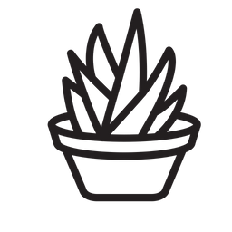 Aloe Vera  Icon