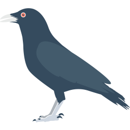 Crow  Icon