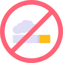 No Smoke  Icon