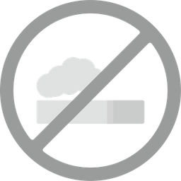 No Smoke  Icon