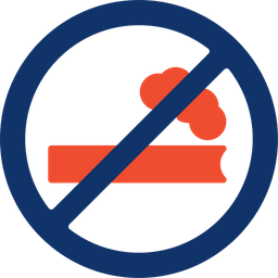 No Smoking  Icon