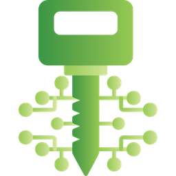 Digital Key  Icon