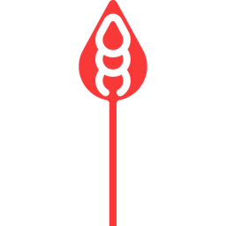 Asparagus  Icon