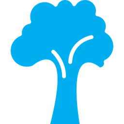 Broccoli  Icon