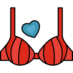 Bra  Icon