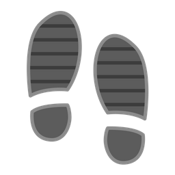 Footprint  Icon