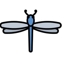 Butterfly  Icon