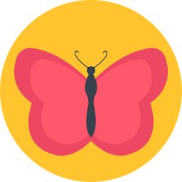 Butterfly  Icon