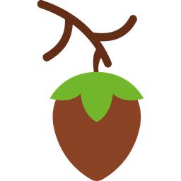 Acorn  Icon