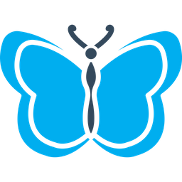 Butterfly  Icon