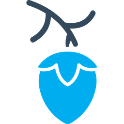 Acorn  Icon