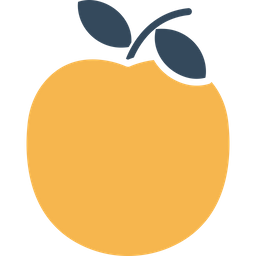 Apple  Icon