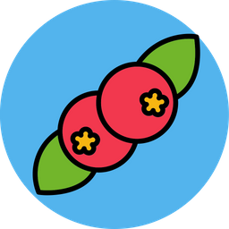 Berries  Icon