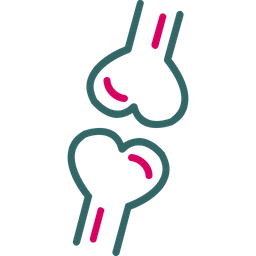 Anatomia  Ícone